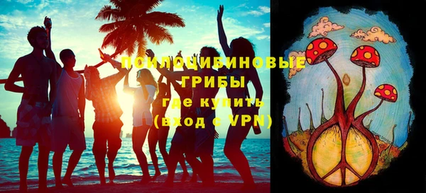 гидропоника Алзамай