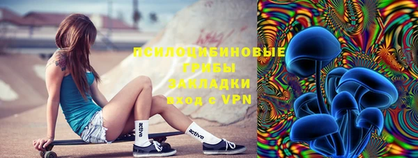 гидропоника Алзамай