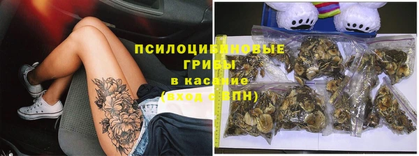 таблы Алексеевка